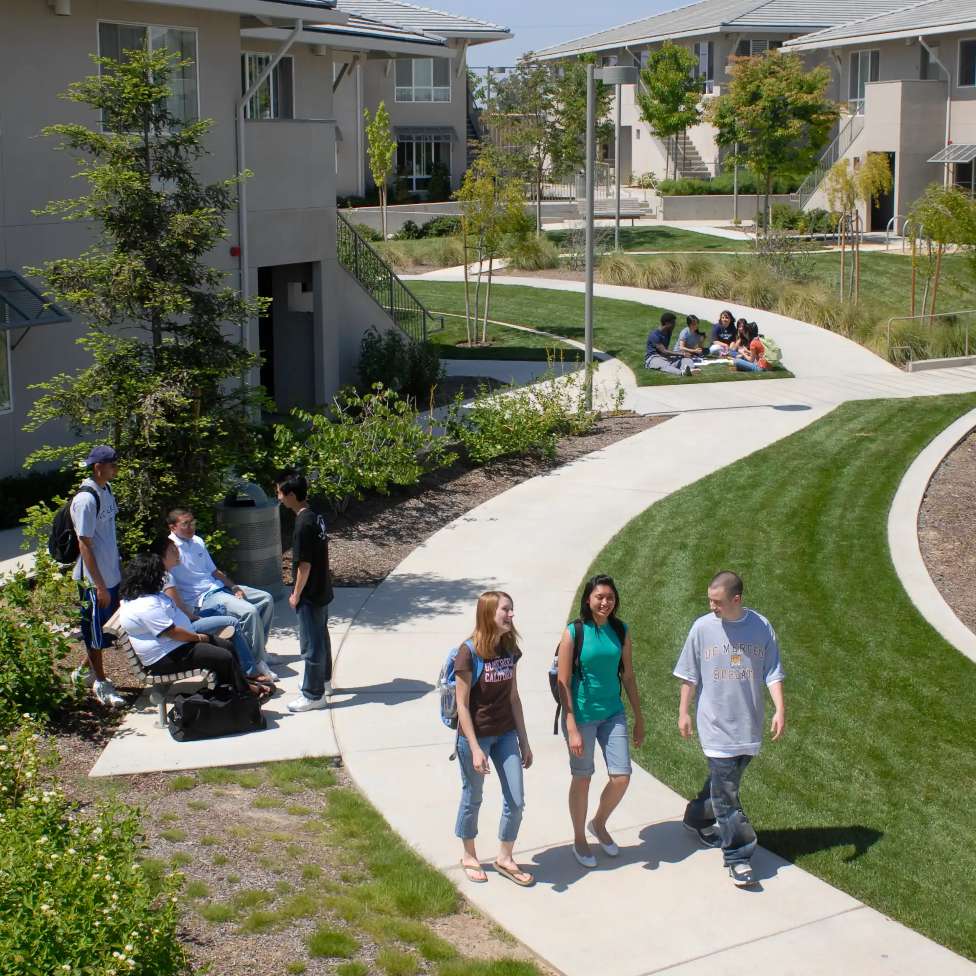 The Valley Terraces walkway in early spring with foliage and students relaxing and hanging out in the sun.